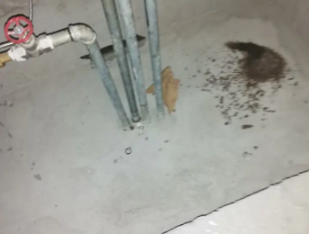 乐昌卫生间测漏水价格明细